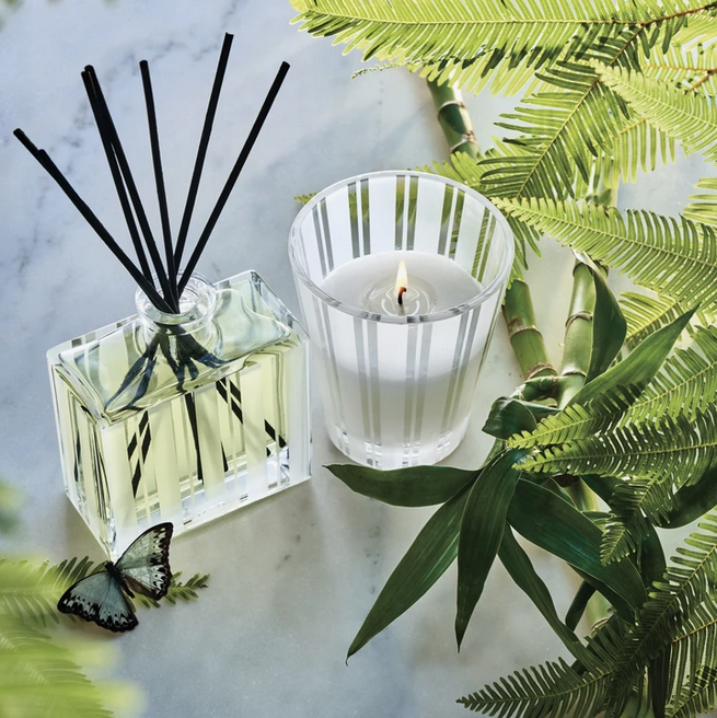 A reed diffuser and a lit candle are surrounded by green foliage and a butterfly.