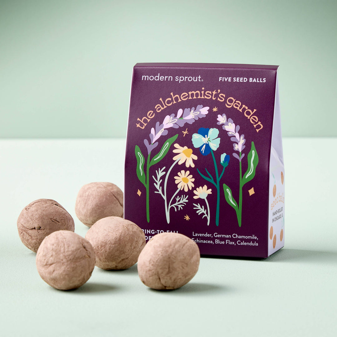 A purple box of The Alchemist's Garden seed balls sits next to five hand-rolled clay seed balls.