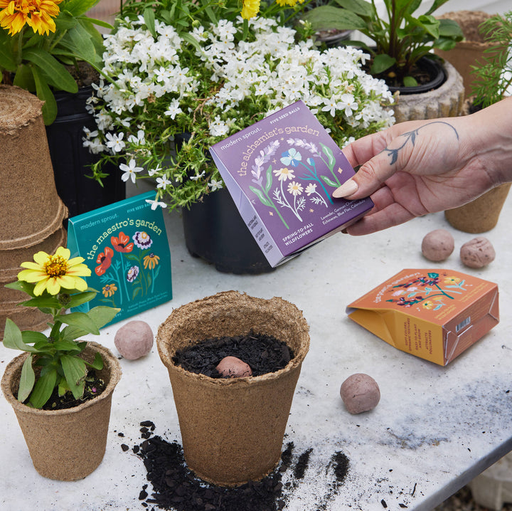 Bespoke Blooms: The Alchemist's Garden
