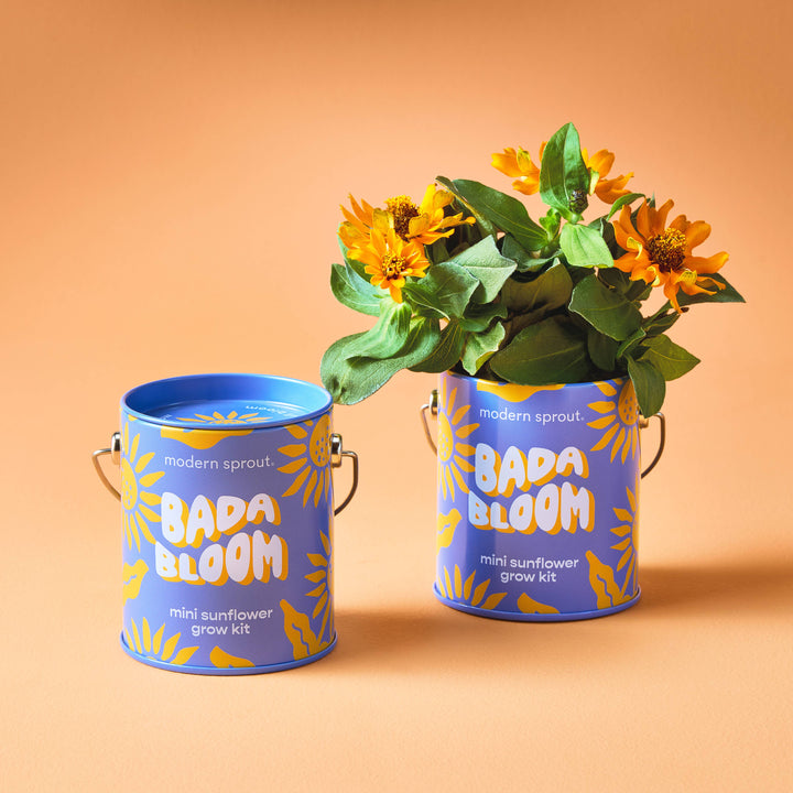 Complimentary Color Grow Kits: Bada Bloom