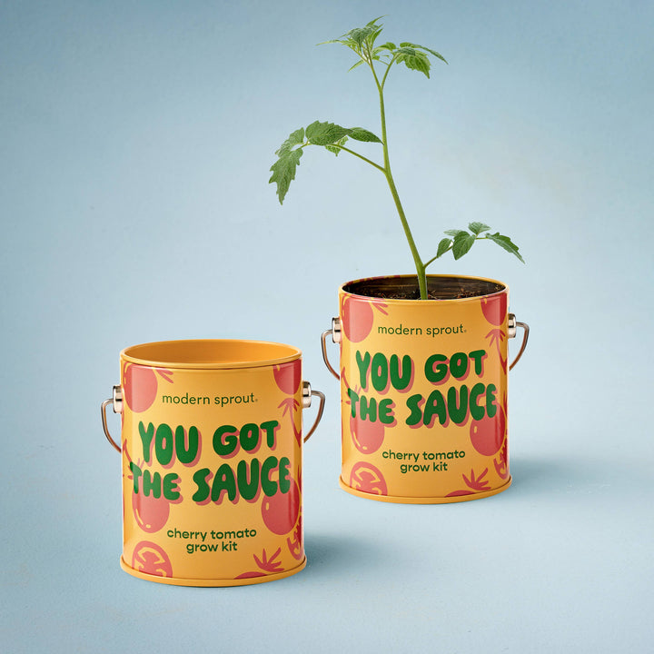 Complimentary Color Grow Kits: You are My Jam