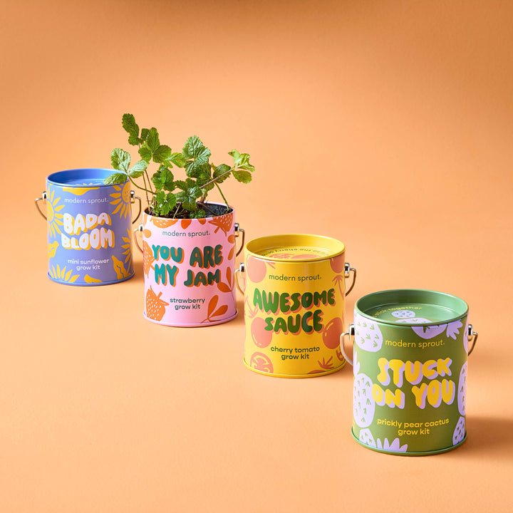 Complimentary Color Grow Kits: You are My Jam