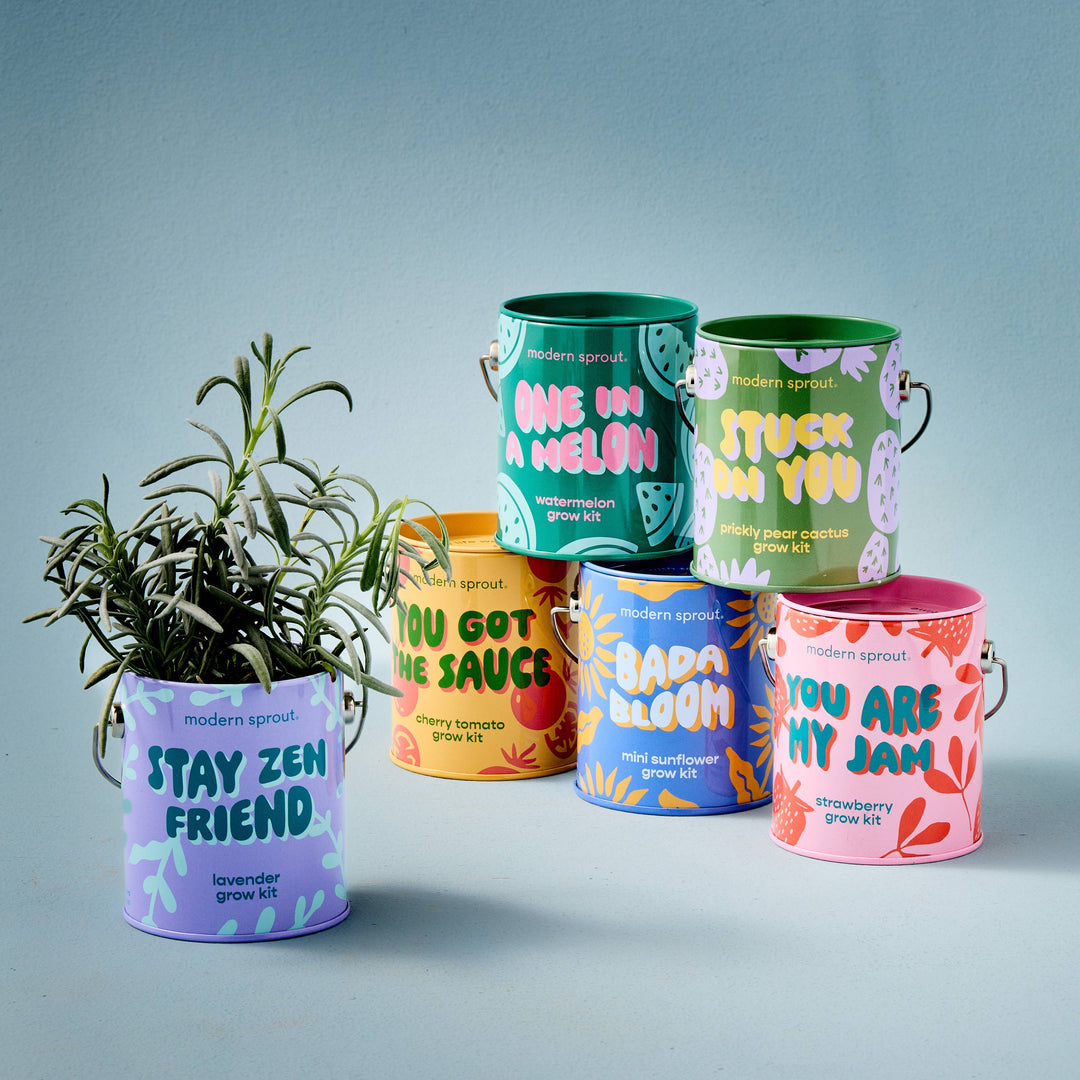 Complimentary Color Grow Kits: You are My Jam