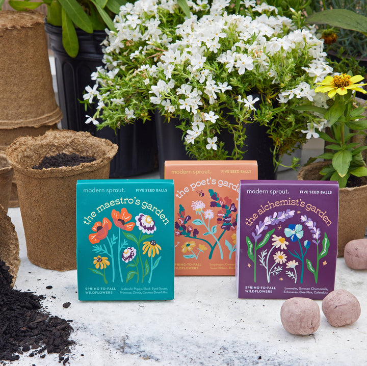 Bespoke Blooms: The Alchemist's Garden