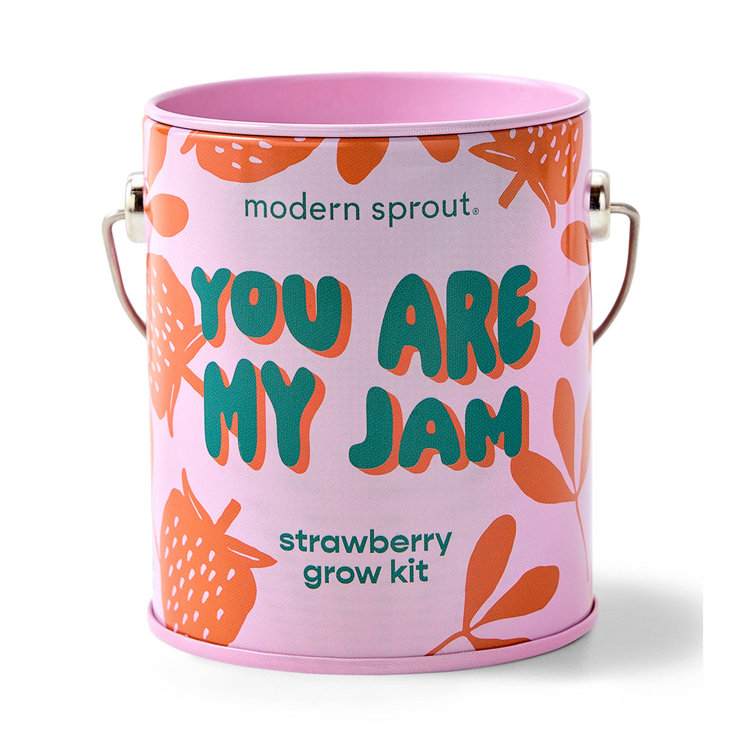 Complimentary Color Grow Kits: Bada Bloom