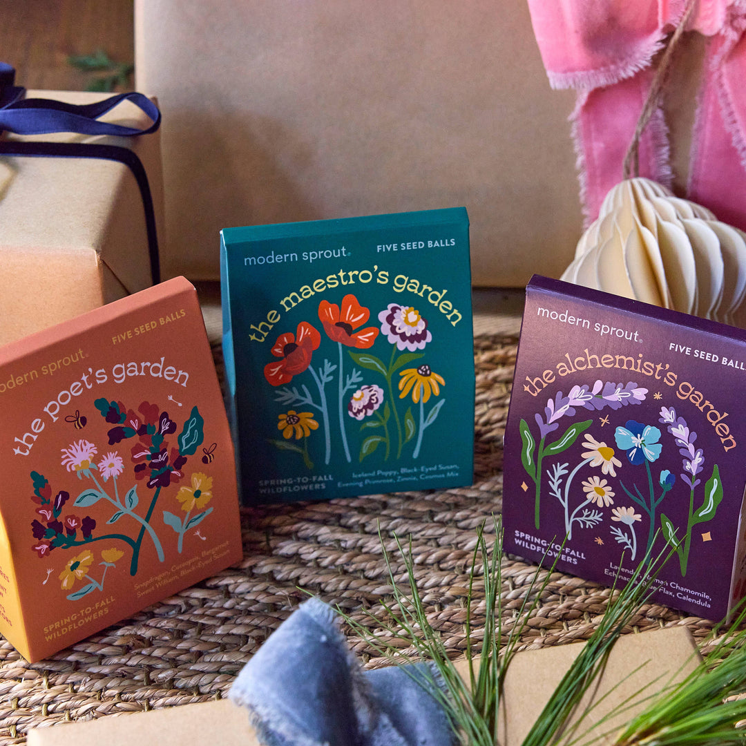 Bespoke Blooms: The Maestro's Garden