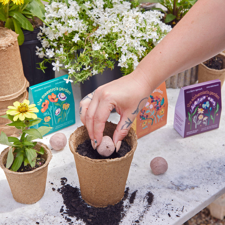 Bespoke Blooms: The Maestro's Garden
