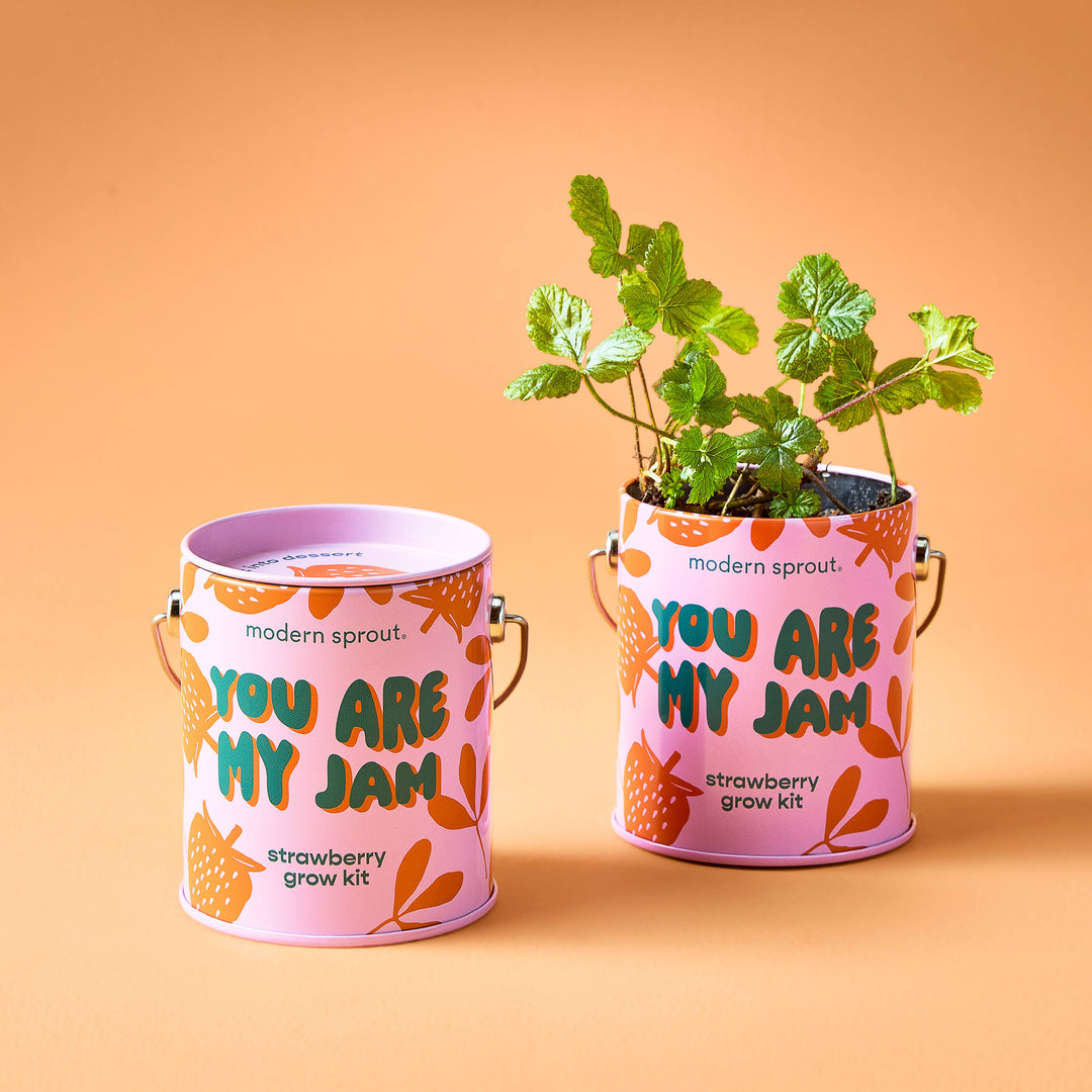 Complimentary Color Grow Kits: You are My Jam