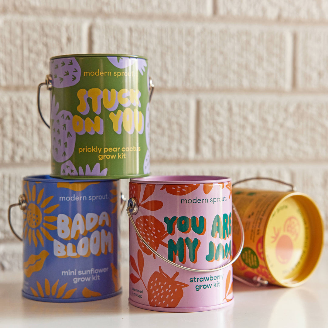Complimentary Color Grow Kits: Bada Bloom