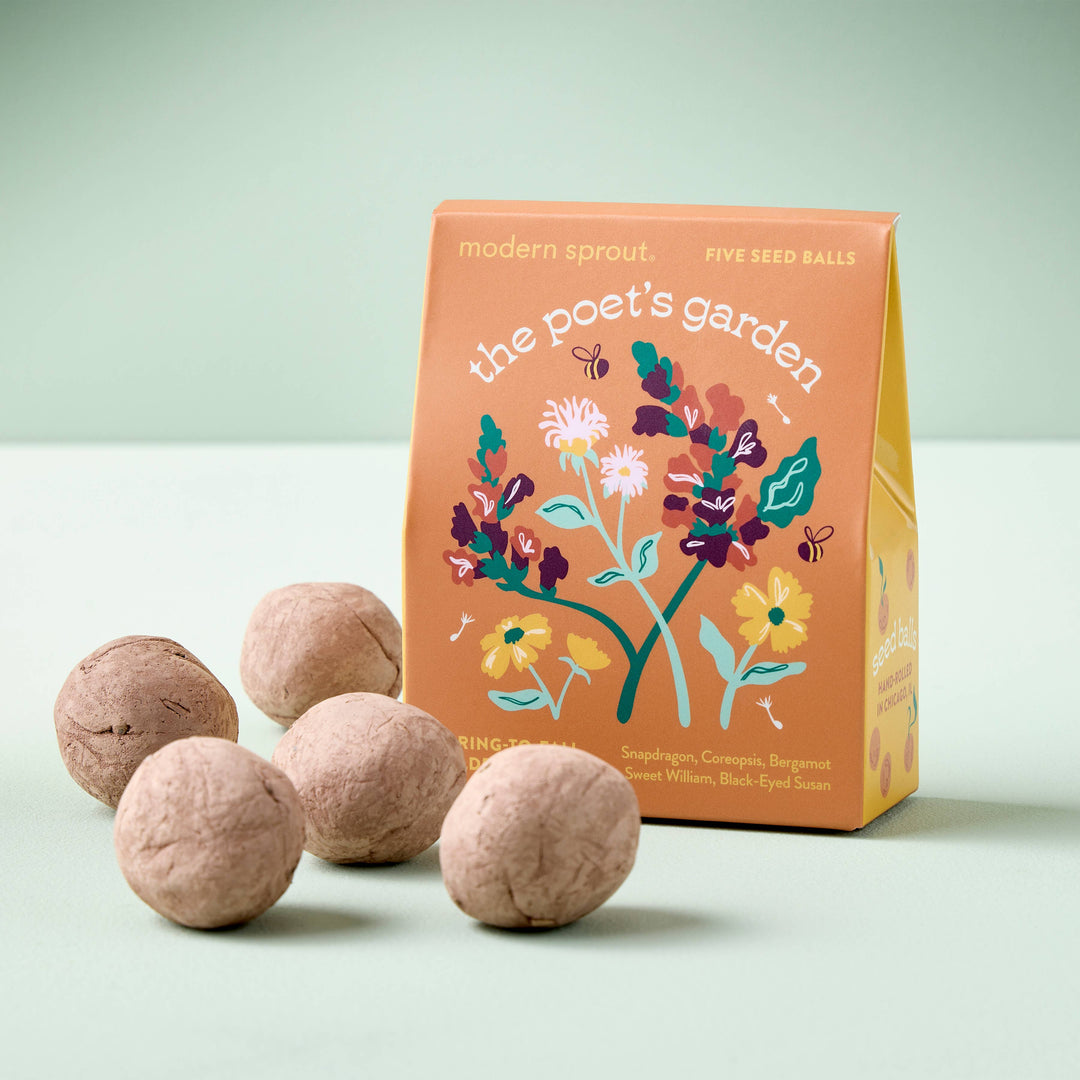 A box of The Poet's Garden seed balls next to five hand-rolled brown seed balls on a green surface.