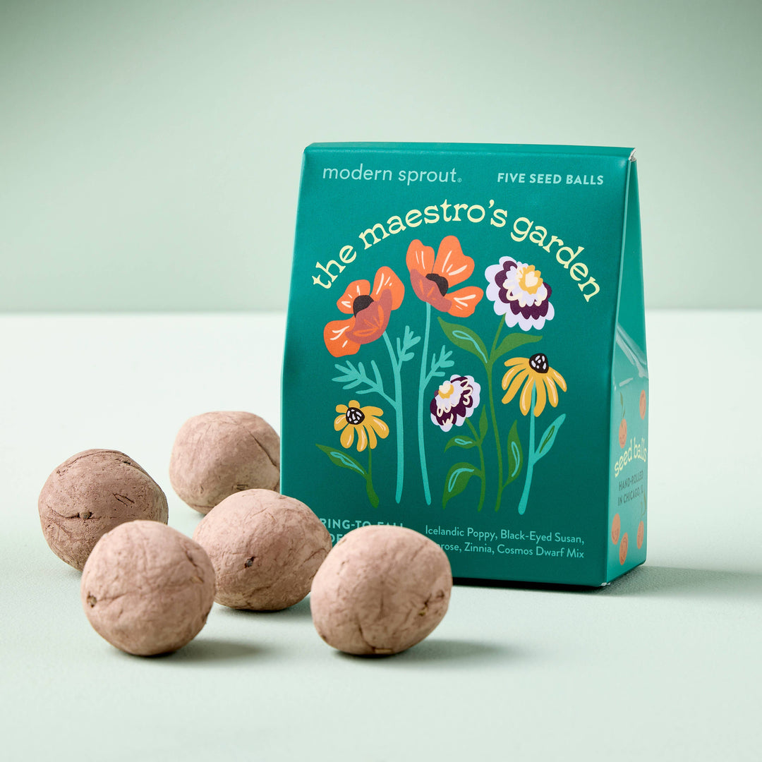 A teal box of The Maestro's Garden seed balls sits behind five hand-rolled clay seed balls.