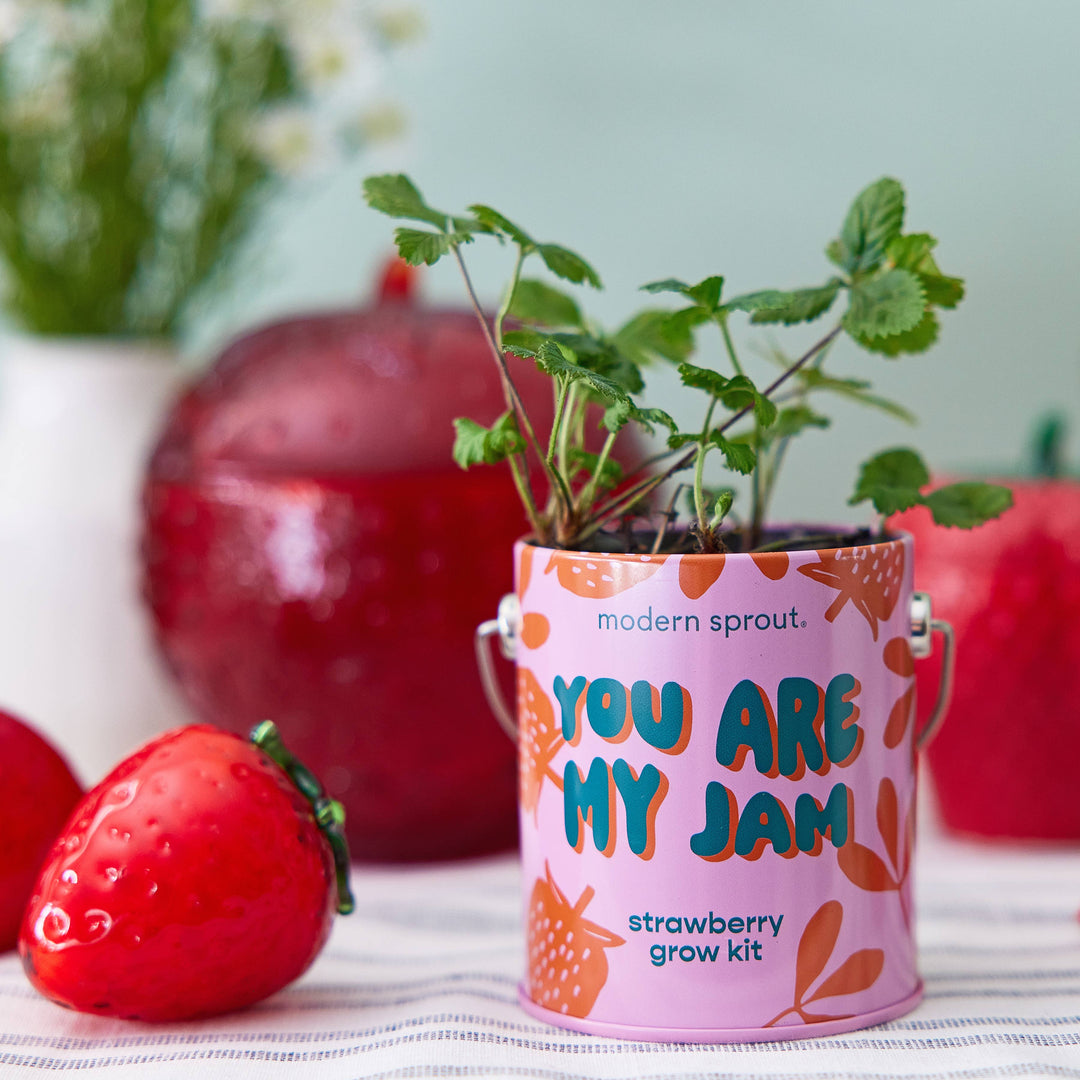 Complimentary Color Grow Kits: Bada Bloom