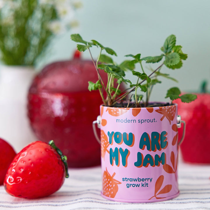 Complimentary Color Grow Kits: Bada Bloom